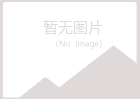 上海宝山匆匆工程有限公司